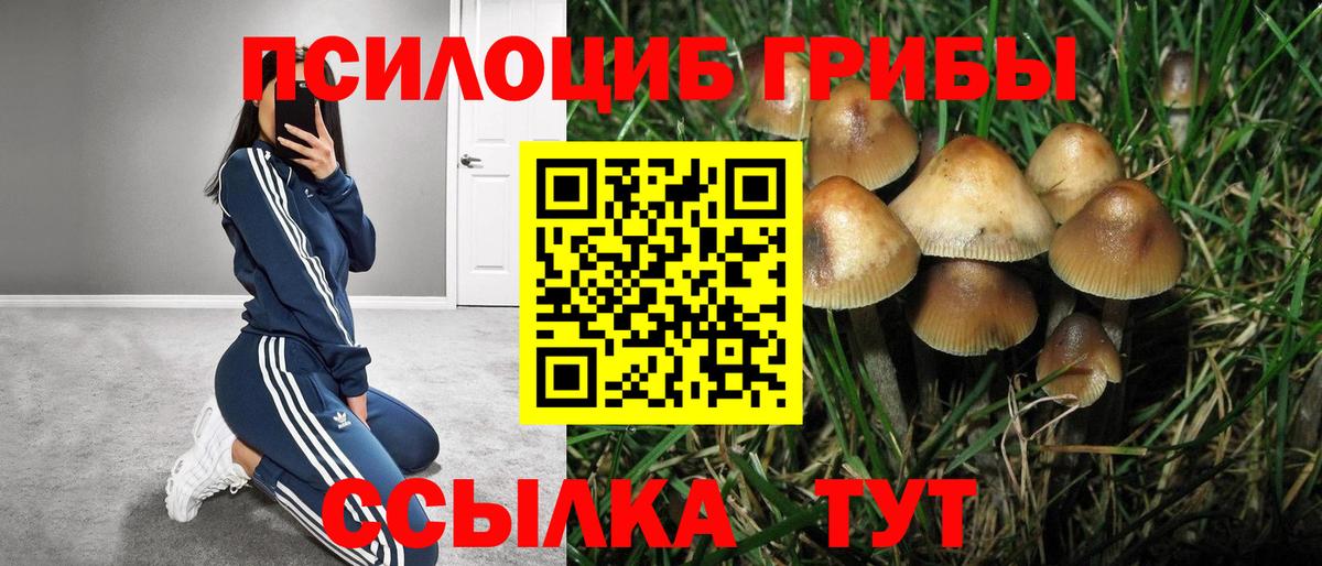 Галлюциногенные грибы мицелий  Галлюциногенные грибы мицелий  Вход с VPN  Североуральск 