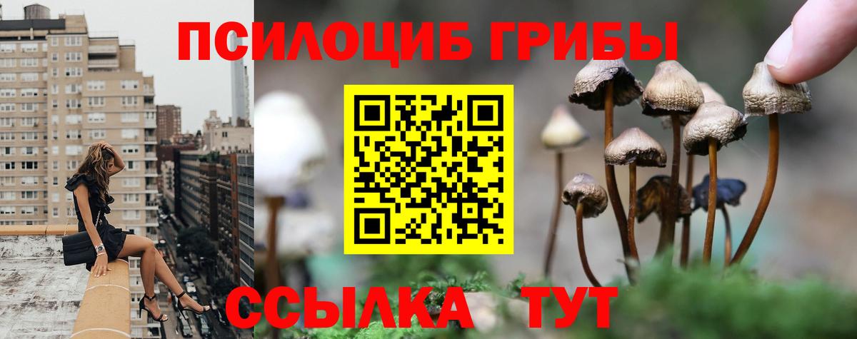 Псилоцибиновые грибы Magic Shrooms Североуральск
